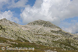 F070706: Sidelhorn von S