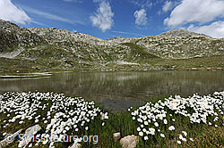 F070724: Jostsee und Sidelhorn