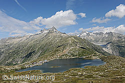 F070740: Grimselpass und Totesee