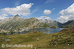 F070742: Alpenpass: Grimselpass