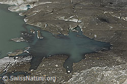 F070945: See im Gletschereis des Rhonegletschers