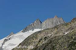 F070962: Dammastock, Rhonestock und Tiefenstock