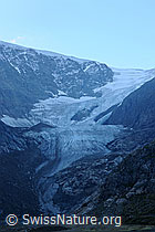 F071013: Zunge des Steigletschers (Steingletscher)