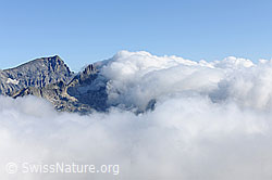 F071039: Wolkenstimmung mit Titlis und Fünffingerstock