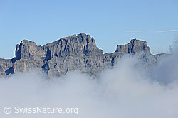 F071045: Wendenstöcke