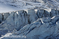 Foto: Gletscherabbruch im Steilimigletscher (Steinlimigletscher)