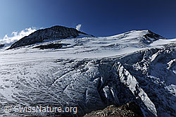Foto: Gwächtehorn, Mittler Tierberg und Steinlimigletscher