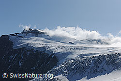 F071074: Sustenhorn und Steigletscher