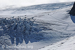 F071075: Eistürme und Spuren auf dem Steigletscher