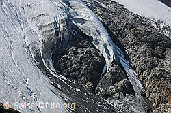F071110: Detail Steilimigletscher (Steinlimigletscher)