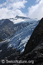 F071113: Sustenhorn und Steigletscher (Steingletscher)