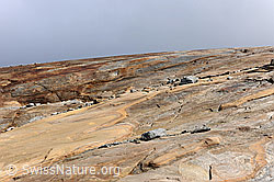 Foto: Marmorierter Gletscherschliff