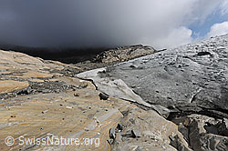 F071237: Gletscherschliff am Gletscherrand