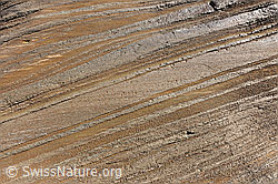 F071263: Fels mit Linien und Strukturen