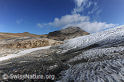 F071286: Gletscherzunge Chaltwassergletscher, Simplon