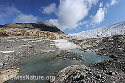 F071297: Gletschervorfeld Chaltwassergletscher