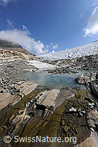 F071300: Gletscherschliff und Gletschersee