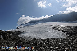 F071317: Chaltwassergletscher und Monte Leone
