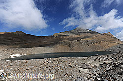 F071319: Chaltwassersee und Wasenhorn