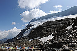 F071332: Chaltwassergletscher am Monte Leone