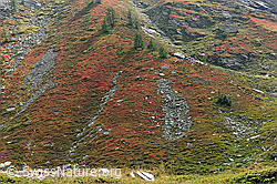 F071357: Berghang in den Herbstfarben