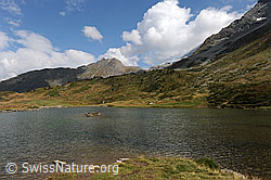 F071362: Bergsee: Rotelsee, Simplon