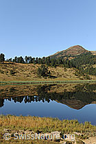 F071542: Spiegelbild