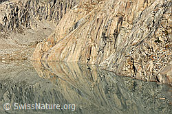 F071601: Muster und Formen in der Natur