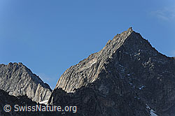 F071612: Bächlistock und Gross Diamantsock