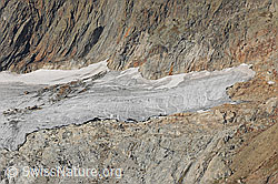 Foto: Gruebengletscher, Haslital