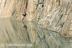 F071626: Spiegelungen im Gruebensee