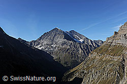 F071820: Ferdenrothorn, Gitzifurge, Balmhorn, Altels