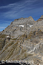 F071826: Doldenhorn von SE
