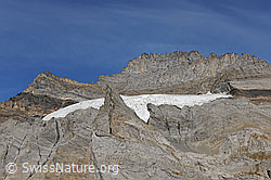 F071827: Südostflanke des Fründenhorn