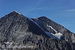 Foto: Balmhorn und Altels