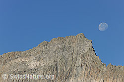 F071991: Gross Diamantstock und Mond