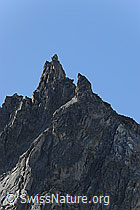 F072030: Brandlammhorn