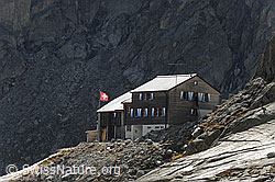 F072094: Bächlitalhütte