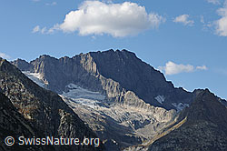 Foto: Ritzlihorn, Ärlengrätli und Ärlengletscher