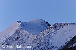 Photo: Bishorn und Turtmanngletscher am frühen Morgen