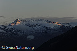 F072298: Morgenstimmung über den Berner Alpen
