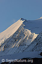 Foto: Morgenstimmung am Bishorn