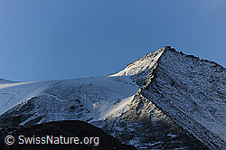 Photo: Stierberg und Turtmanngletscher