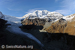 Foto: Herbstbild Gletscher und Berge im Turtmanntal