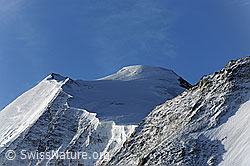 Photo: Bishorn and Turtmann Glacier