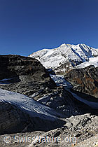 Foto: Brunegggletscher, Turtmanngletscher und Diablonsgletscher