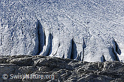 Foto: Randspalten am Brunegggletscher