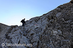 F072415: Alpinistin auf kurzem Klettersteig im Gässi