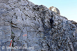 F072419: Gesicherter Bergweg im Gässi