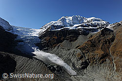 Foto: Les Diablons, Turtmanngletscher und Diablonsgletscher